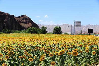 《潜行者2》确认不参加6月的Xbox发布会