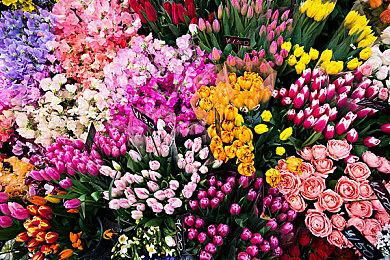 顽皮狗再次腰斩3A大作  仅存两款新作处于开发阶段